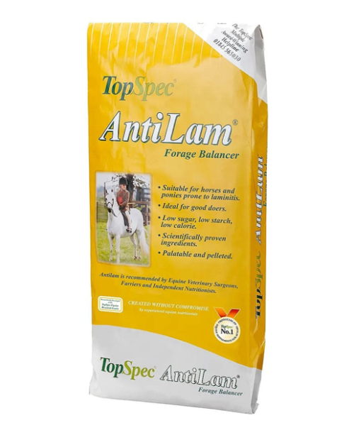 AntiLam