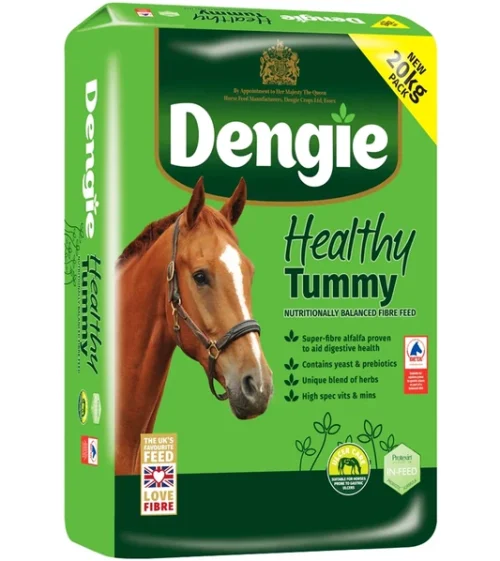 Healthy Tummy