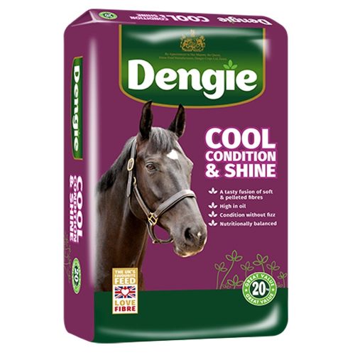 Cool, Condition & Shine
