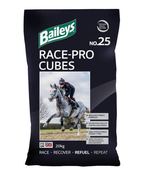 No. 25 Race-Pro Cubes